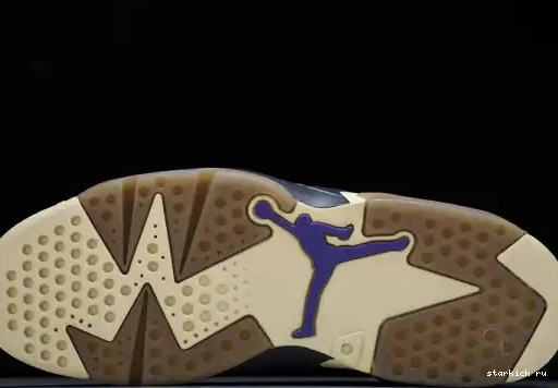 Retro Kelp 6 Gore-Tex Brown FD1643-300 Jordan FD1643-300  0611